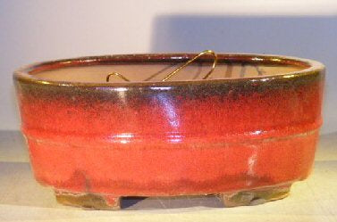 Parisian Red Ceramic Bonsai Pot - Oval -Professional Series -10 x 8 x 4